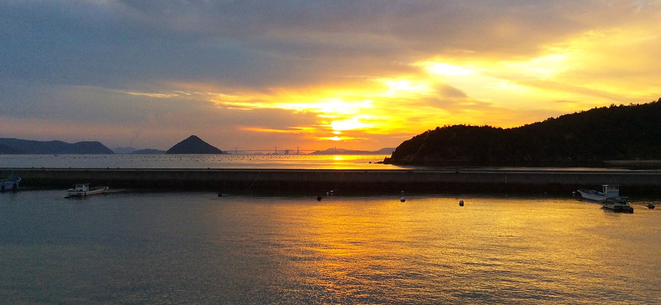 🏝️ 모모시마 섬 (百島) 이미지 6